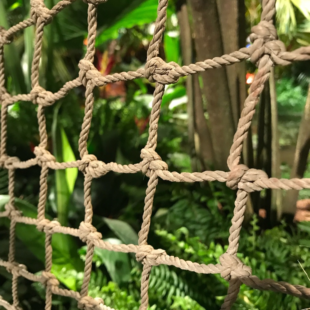 Meet your Posher, Bridget